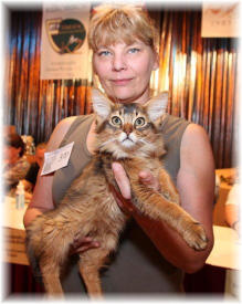 Best in Show Kitten + Sonderpreis