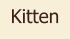 Kitten